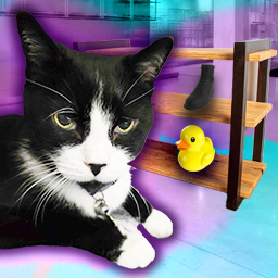 Sylvester